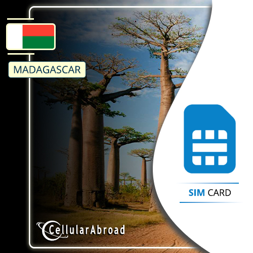 Madagascar sim card
